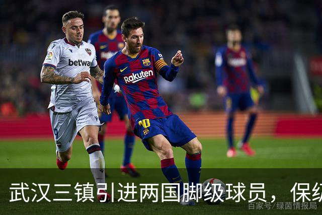 武汉三镇引进两国脚级球员，保级前景乐观